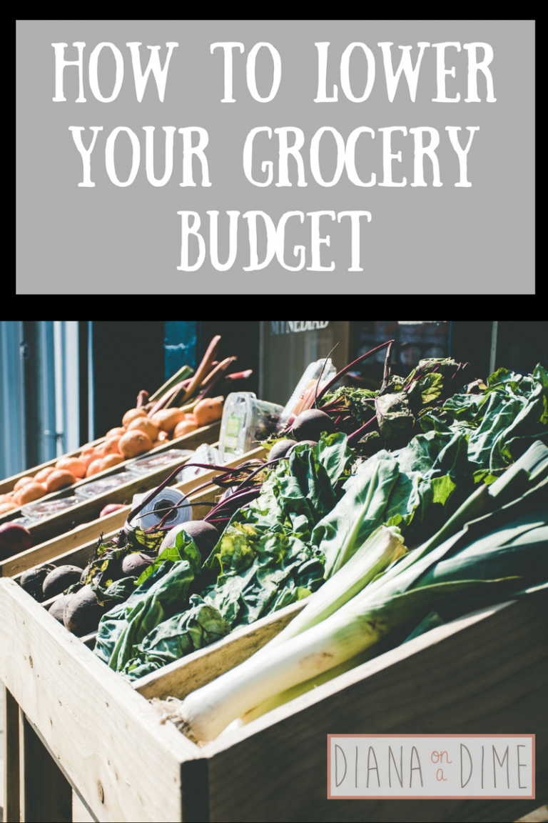 how-to-lower-your-grocery-budget-diana-on-a-dime